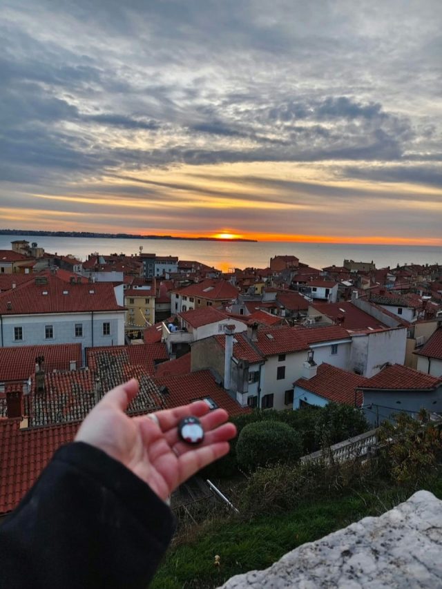 Hand-painted penguin stone #394 hidden at Clock Tower, Piran, Slovenia (photo 4 of 5)