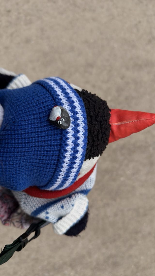 Hand-painted penguin stone #400 hidden at Geyerturm, Salzburg, Austria (photo 2 of 5)