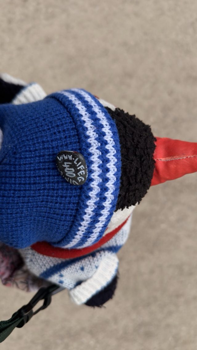 Hand-painted penguin stone #400 hidden at Geyerturm, Salzburg, Austria (photo 3 of 5)