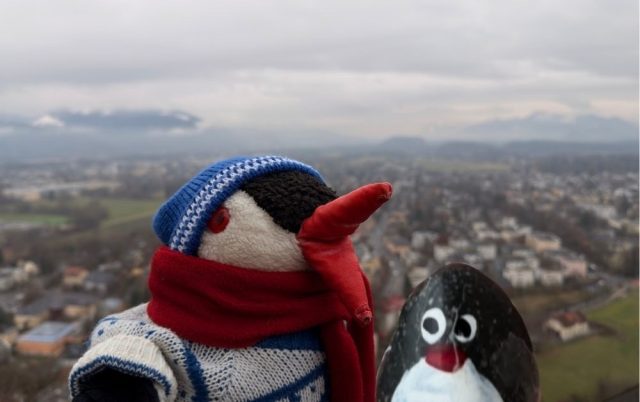 Hand-painted penguin stone #400 hidden at Geyerturm, Salzburg, Austria (photo 5 of 5)