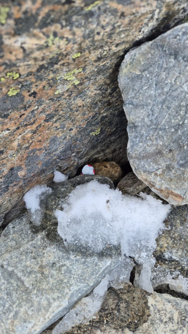 Hand-painted penguin stone #423 hidden at Laguna de los Tres, El Chalten, Argentina (photo 5 of 5)