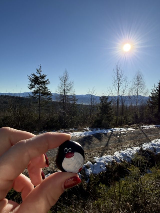 Hand-painted penguin stone #609 hidden at Nad Bytom (TANAP), Koprova Dolina, Slovakia (photo 2 of 5)