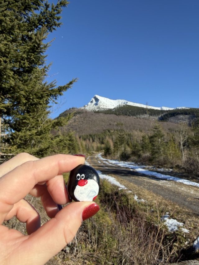 Hand-painted penguin stone #609 hidden at Nad Bytom (TANAP), Koprova Dolina, Slovakia (photo 3 of 5)