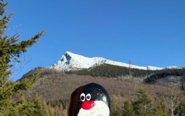 Ručne maľovaný tučniakový kameň č. 609 ukrytý na mieste Nad Bytom (TANAP), Kôprová Dolina, Slovensko