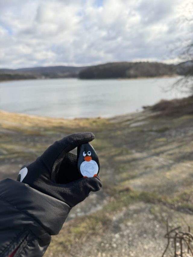 Hand-painted penguin stone #615 hidden at Lozorno Reservoir, Lozorno, Slovakia (photo 2 of 5)
