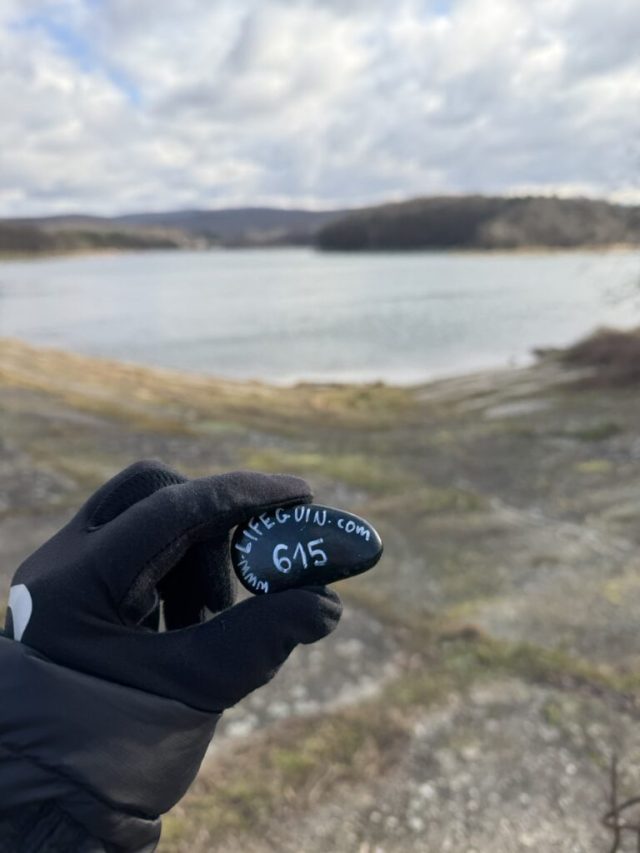 Hand-painted penguin stone #615 hidden at Lozorno Reservoir, Lozorno, Slovakia (photo 4 of 5)