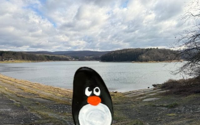 Ručne maľovaný tučniakový kameň č. 615 ukrytý na mieste Lozorno Reservoir, Lozorno, Slovensko
