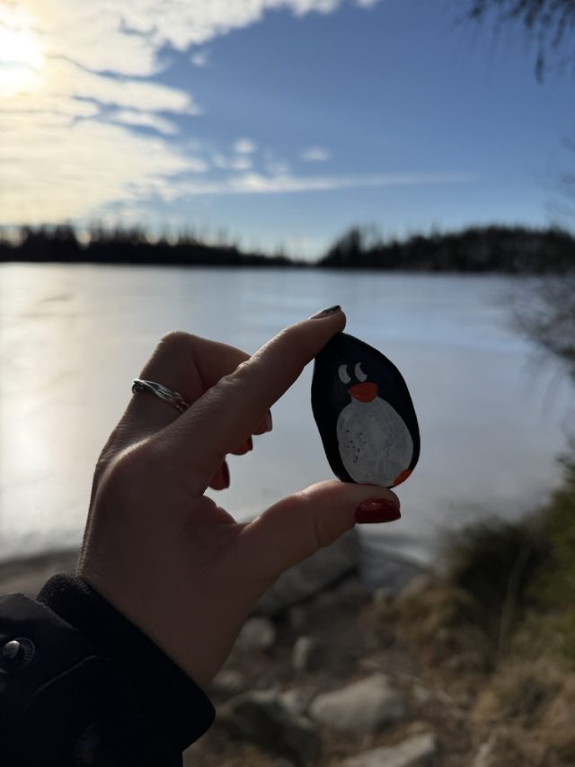 Hand-painted penguin stone #618 hidden at Bunch of Rocks, Strbske Pleso, Slovakia (photo 3 of 5)