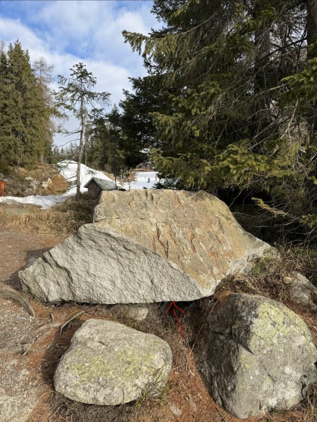 Hand-painted penguin stone #618 hidden at Bunch of Rocks, Strbske Pleso, Slovakia (photo 5 of 5)
