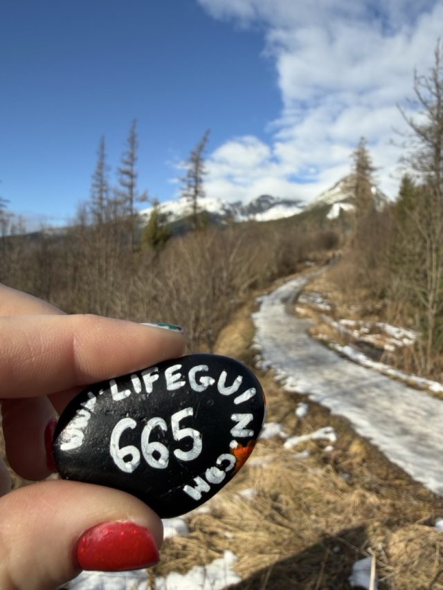 Hand-painted penguin stone #665 hidden at Tree Trunk, Strbske Pleso, Slovakia (photo 2 of 5)