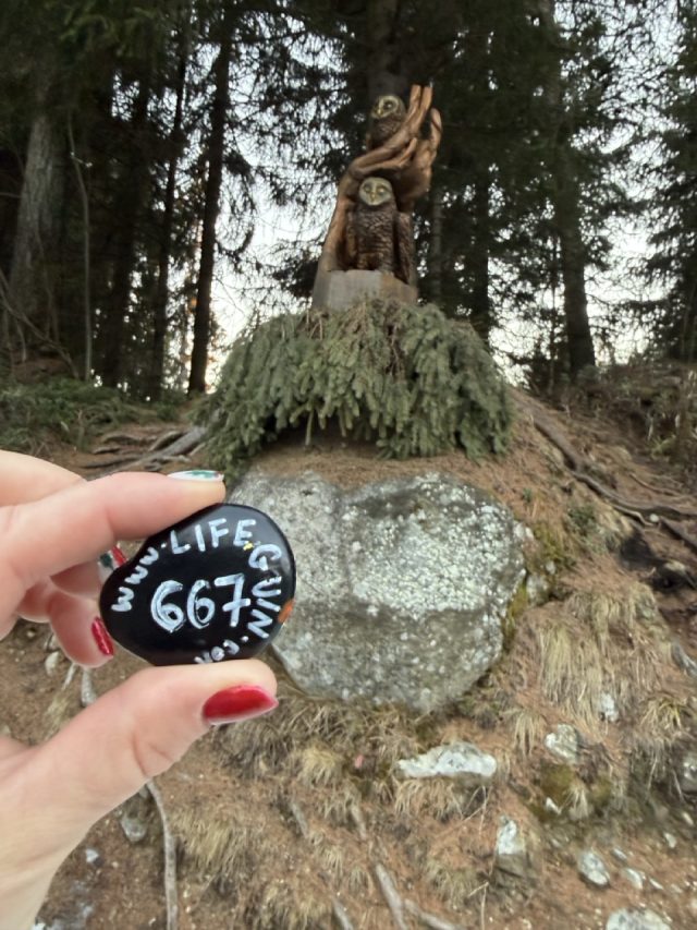 Hand-painted penguin stone #667 hidden at Wooden Owl Statue, Strbske Pleso, Slovakia (photo 2 of 5)