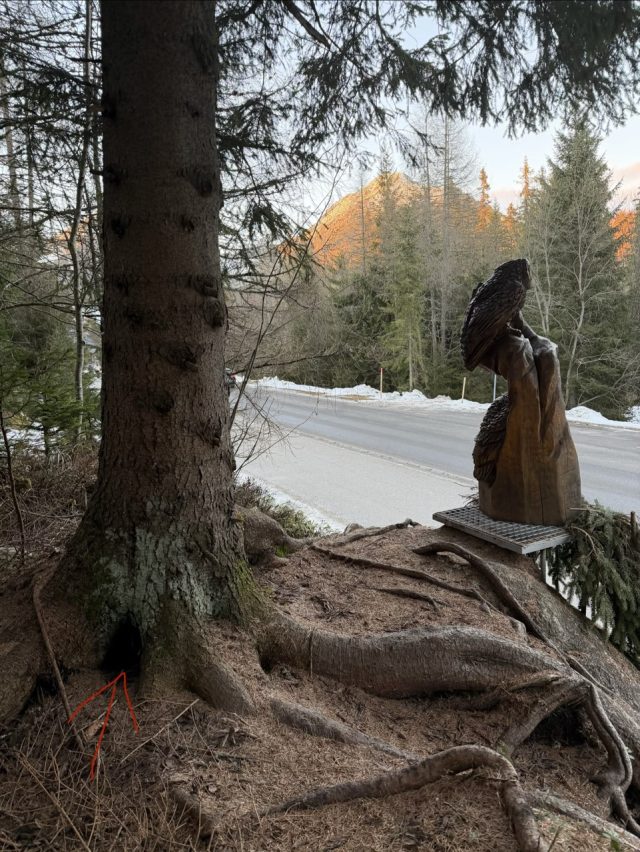 Hand-painted penguin stone #667 hidden at Wooden Owl Statue, Strbske Pleso, Slovakia (photo 4 of 5)