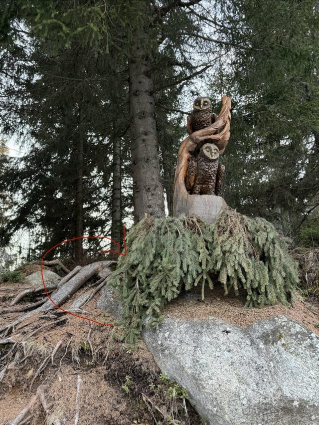 Hand-painted penguin stone #667 hidden at Wooden Owl Statue, Strbske Pleso, Slovakia (photo 5 of 5)