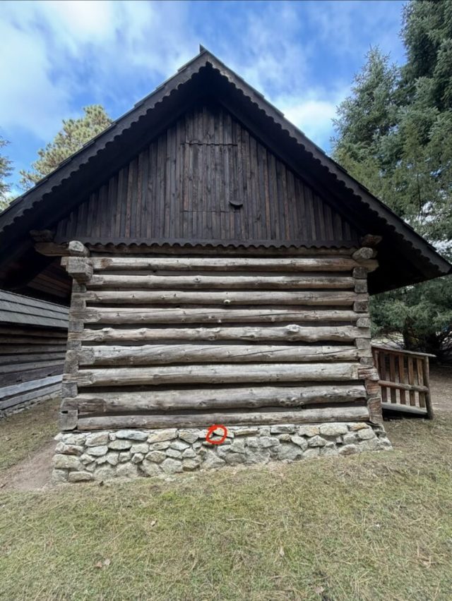 Hand-painted penguin stone #683 hidden at Biofarm Priroda, Stupava, Slovakia (photo 2 of 5)