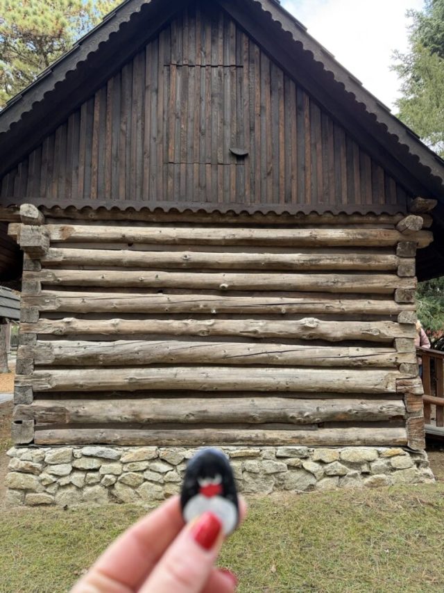 Hand-painted penguin stone #683 hidden at Biofarm Priroda, Stupava, Slovakia (photo 3 of 5)