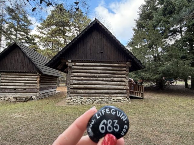Hand-painted penguin stone #683 hidden at Biofarm Priroda, Stupava, Slovakia (photo 4 of 5)