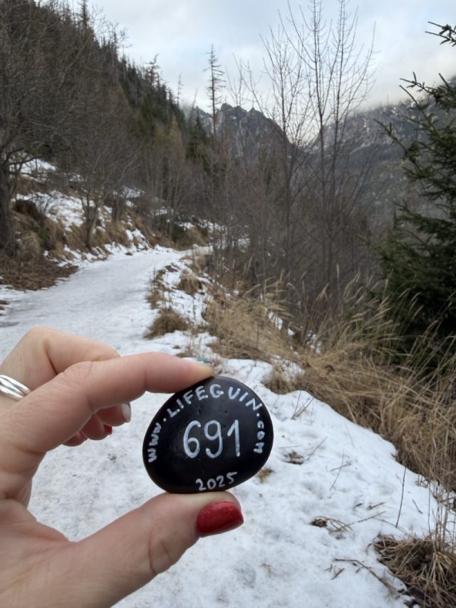Hand-painted penguin stone #691 hidden at Tree at Hrebienok, High Tatras, Slovakia (photo 3 of 5)