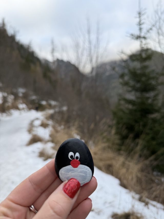 Hand-painted penguin stone #691 hidden at Tree at Hrebienok, High Tatras, Slovakia (photo 4 of 5)