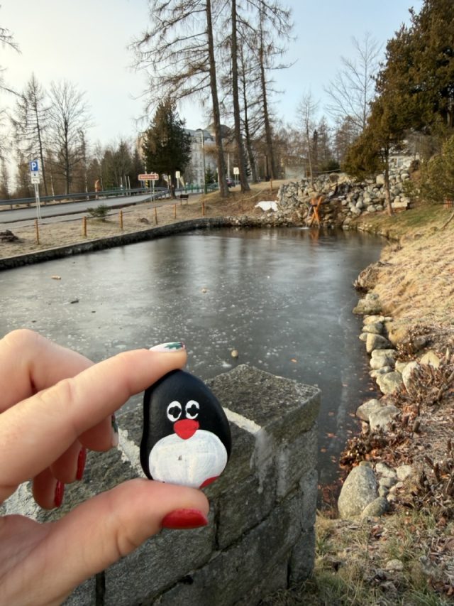 Hand-painted penguin stone #700 hidden at Novy Smokovec, High Tatras, Slovakia (photo 2 of 5)