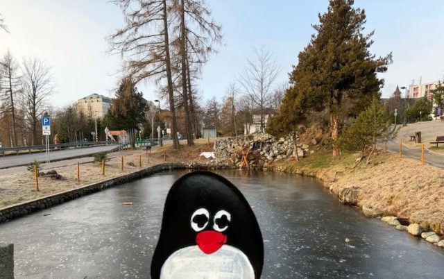 Ručne maľovaný tučniakový kameň č. 700 ukrytý na mieste Nový Smokovec, High Tatras, Slovensko