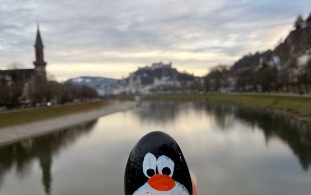 Hand-painted penguin stone #725 hidden at Three in Mirabellgarten, Salzburg, Austria (photo 4 of 5)