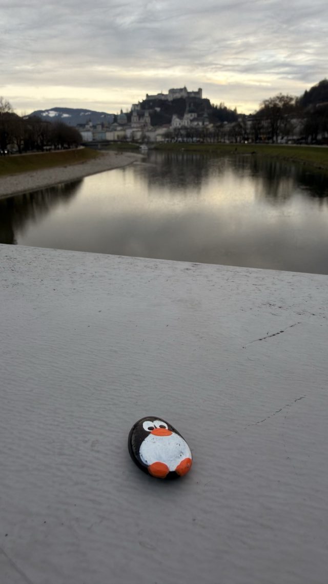 Hand-painted penguin stone #725 hidden at Three in Mirabellgarten, Salzburg, Austria (photo 5 of 5)