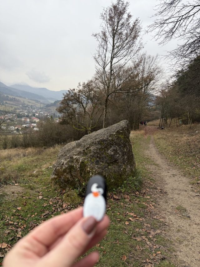 Hand-painted penguin stone #736 hidden at Rock near Chata pod Skalami, Sulov, Slovakia (photo 2 of 5)