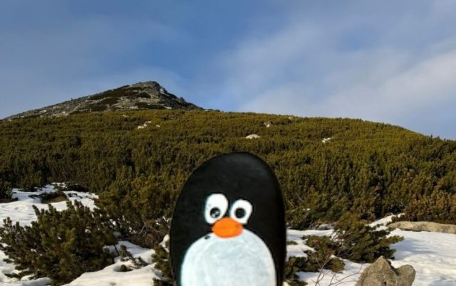 Ručne maľovaný tučniakový kameň č. 757 ukrytý na mieste Chata pod Soliskom, High Tatras, Slovensko