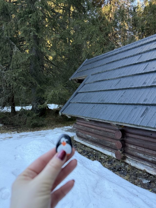 Hand-painted penguin stone #759 hidden at Wooden Hut at Koprovska Dolina, TANAP, Slovakia (photo 3 of 5)