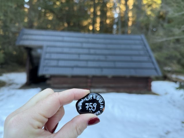 Hand-painted penguin stone #759 hidden at Wooden Hut at Koprovska Dolina, TANAP, Slovakia (photo 4 of 5)