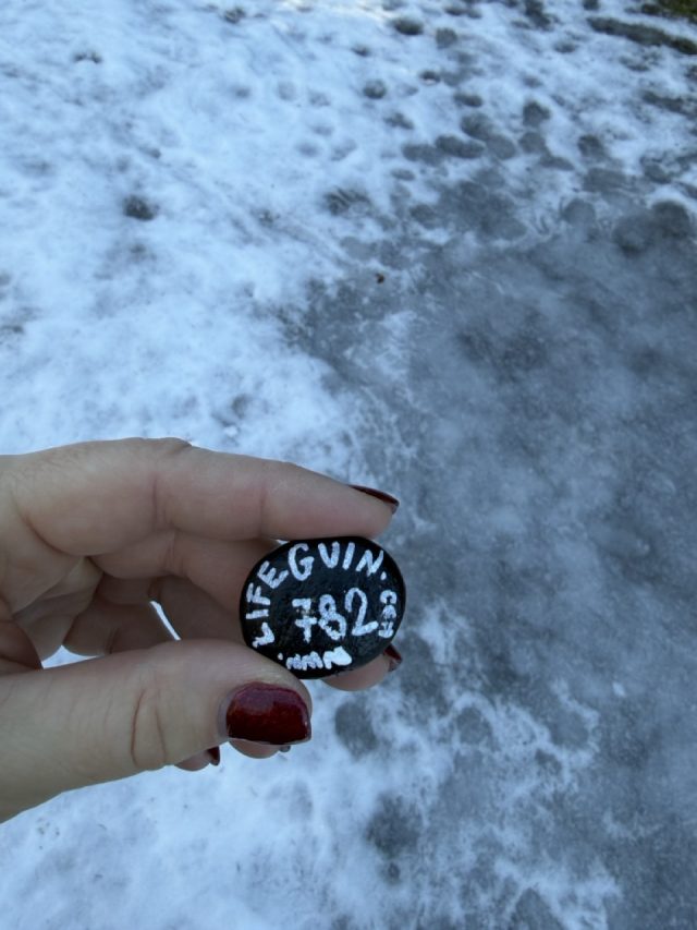 Hand-painted penguin stone #782 hidden at Razcestie pod Grunik, TANAP, Slovakia (photo 2 of 5)