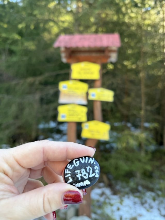 Hand-painted penguin stone #782 hidden at Razcestie pod Grunik, TANAP, Slovakia (photo 3 of 5)