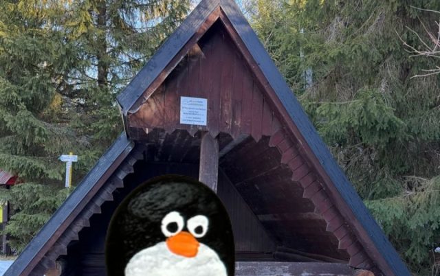 Ručne maľovaný tučniakový kameň č. 782 ukrytý na mieste Razcestie pod Grunik, TANAP, Slovensko