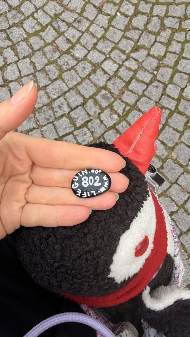 Hand-painted penguin stone #802 hidden at Tree at Kaipromenade, Salzburg, Austria (photo 3 of 5)
