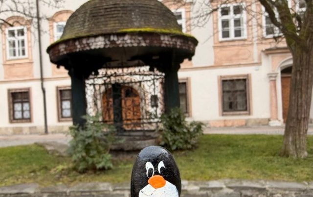 Hand-painted penguin stone #802 hidden at Tree at Kaipromenade, Salzburg, Austria