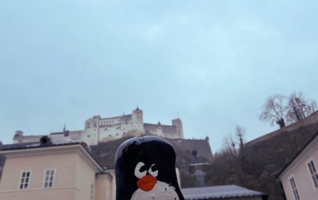 Hand-painted penguin stone #857 hidden at Fortress Hohensalzburg, Salzburg, Austria (photo 4 of 5)