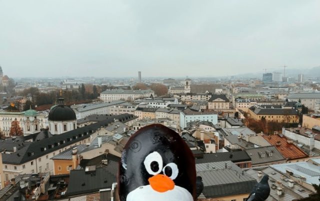 Hand-painted penguin stone #858 hidden at Kapuzinerkloster, Salzburg, Austria (photo 5 of 5)