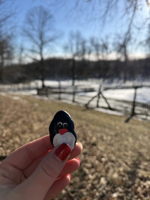 Hand-painted penguin stone #669 hidden at White Cross, Little Carpathians, Slovakia (photo 2 of 5)