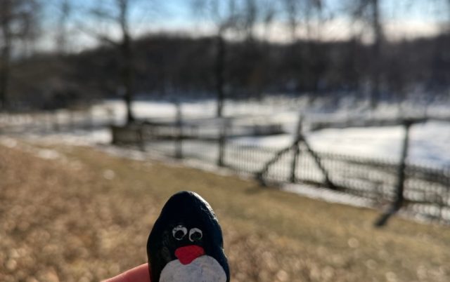 Hand-painted penguin stone #669 hidden at White Cross, Little Carpathians, Slovakia