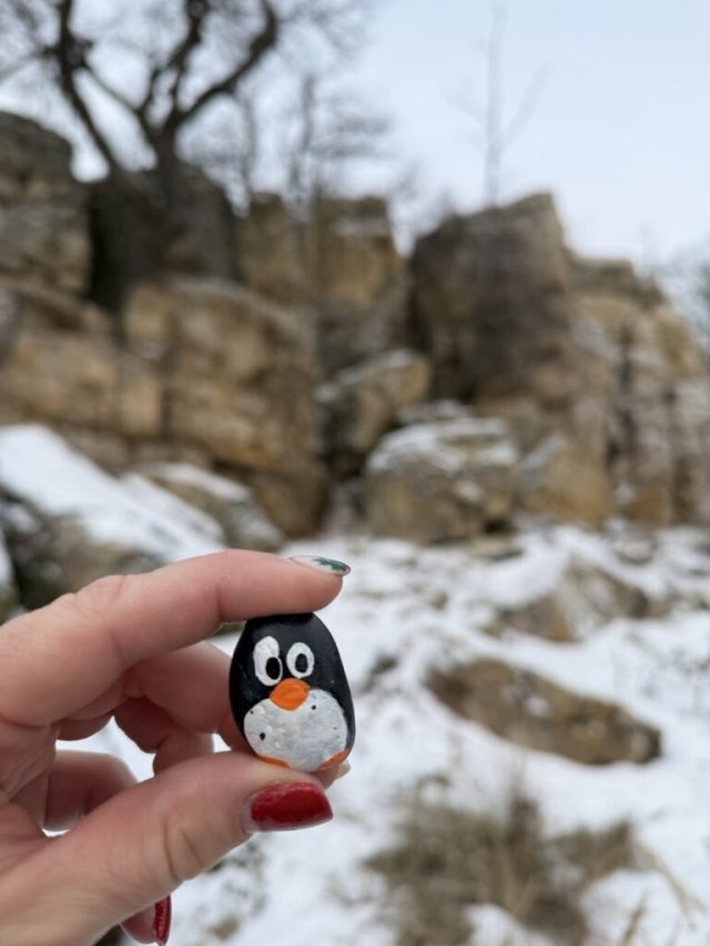 Hand-painted penguin stone #829 hidden at Small Cave, Little Carpathians, Slovakia (photo 2 of 5)