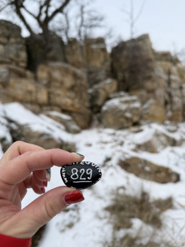 Hand-painted penguin stone #829 hidden at Small Cave, Little Carpathians, Slovakia (photo 3 of 5)