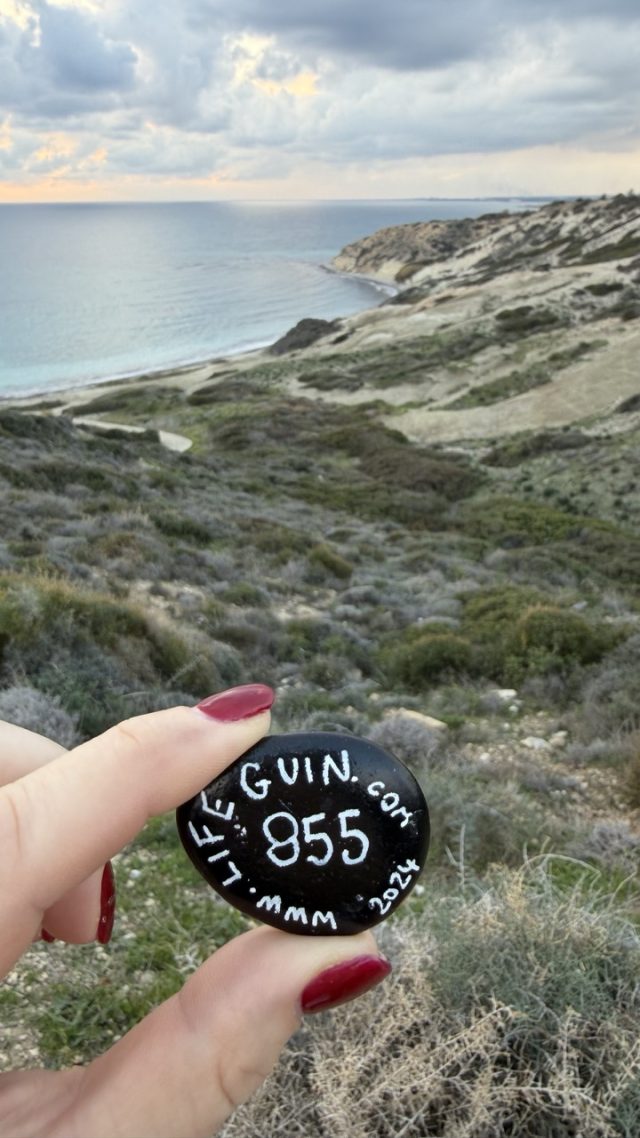Hand-painted penguin stone #855 hidden at Aphrodite Picnic Site, Cyprus (photo 2 of 5)