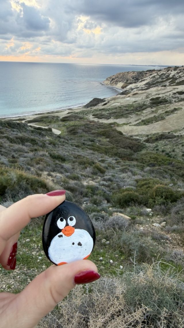 Hand-painted penguin stone #855 hidden at Aphrodite Picnic Site, Cyprus (photo 4 of 5)