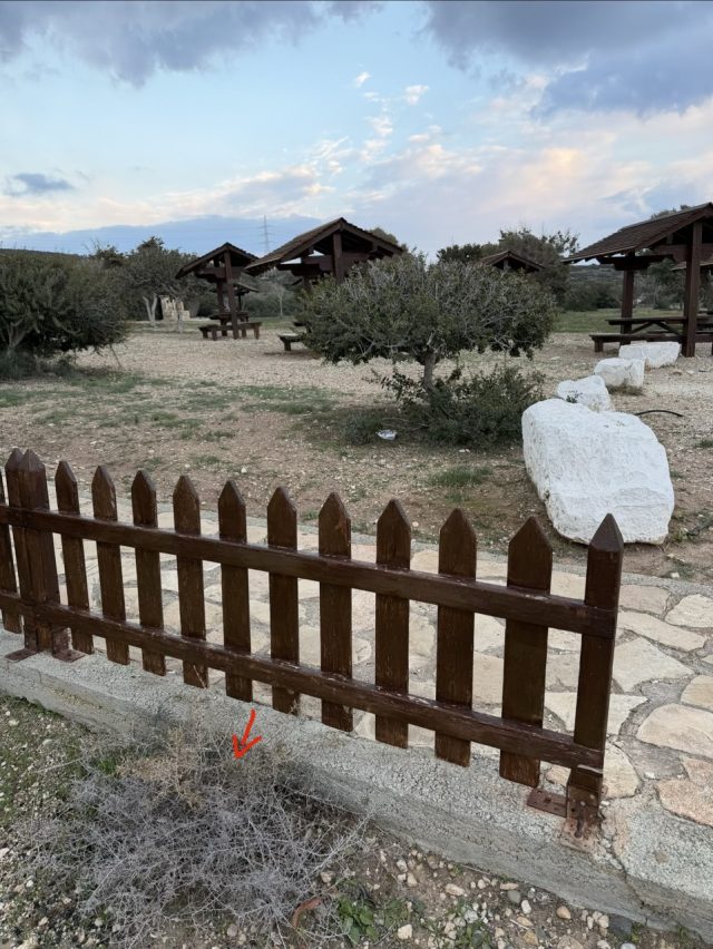 Hand-painted penguin stone #855 hidden at Aphrodite Picnic Site, Cyprus (photo 5 of 5)