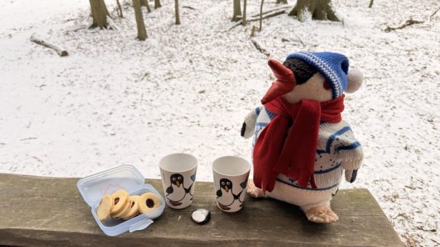 Hand-painted penguin stone #856 hidden at Mociarna, Little Carpathians, Slovakia (photo 5 of 5)