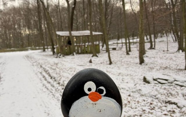 Hand-painted penguin stone #856 hidden at Mociarna, Little Carpathians, Slovakia