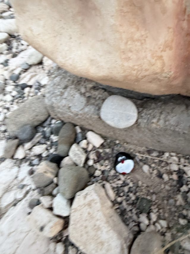 Hand-painted penguin stone #883 hidden at Small roadside chapel (Proskinitari), Limassol, Cyprus (photo 5 of 5)