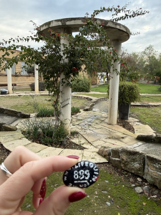 Hand-painted penguin stone #889 hidden at Eleftheria Park, Nicosia, Cyprus (photo 3 of 5)