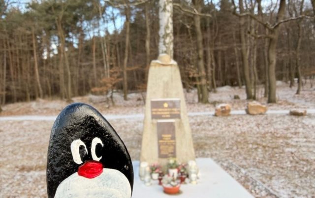 Hand-painted penguin stone #895 hidden at Tree at Rusniaky Memorial, Little Carpathians, Slovakia
