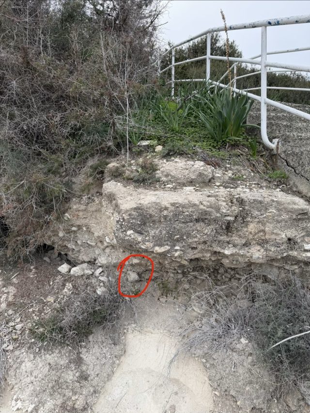 Hand-painted penguin stone #898 hidden at Governor's Beach, Cyprus (photo 2 of 5)
